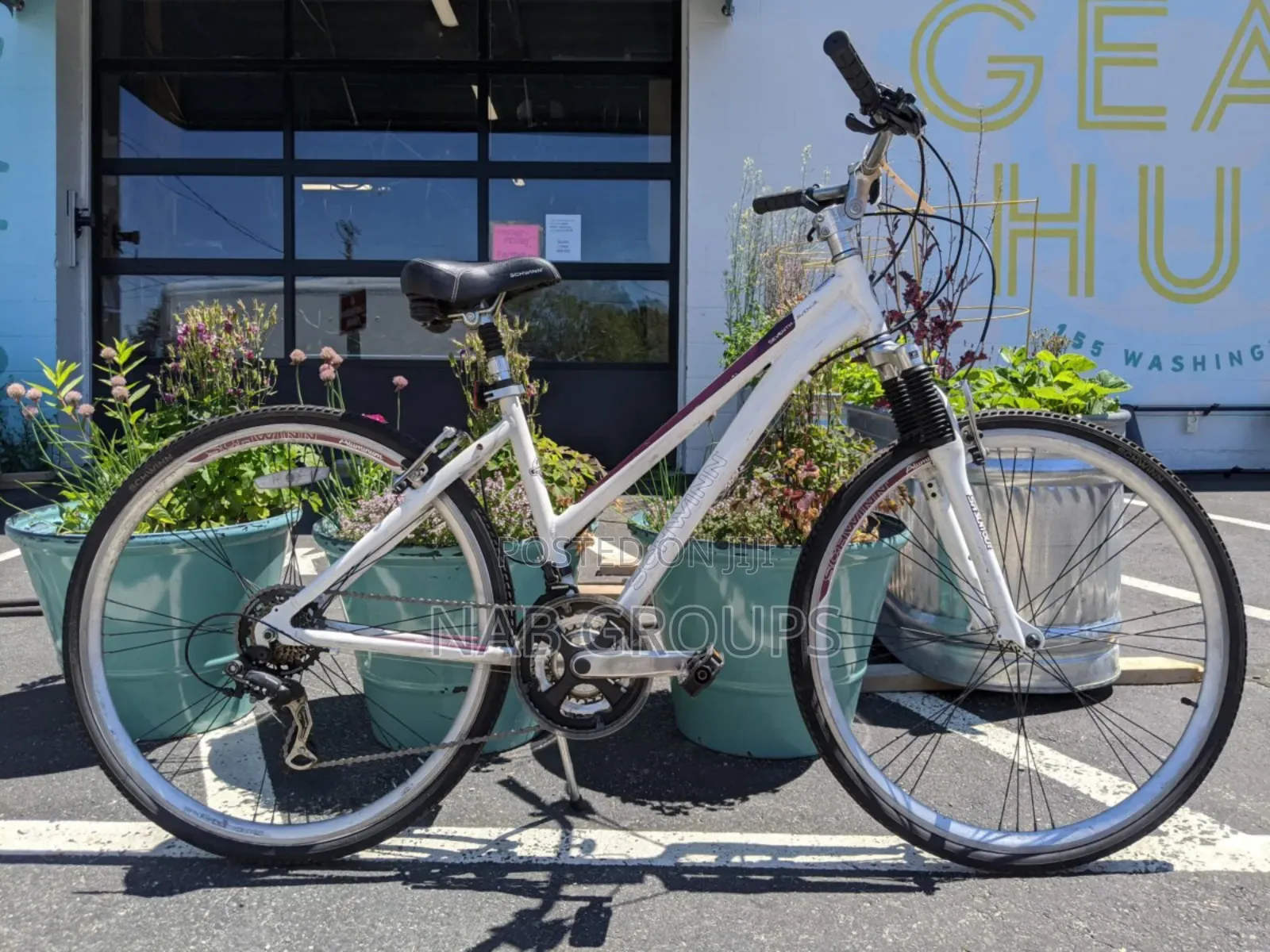 DBS Hybrid Bike