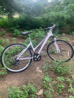 DBS Hybrid Bike