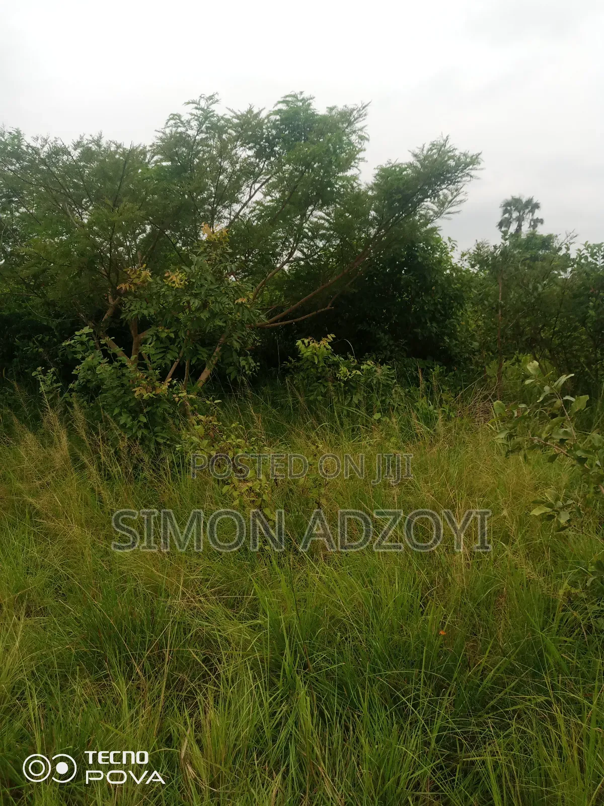 1000 Acres Available Farm Land For Sale