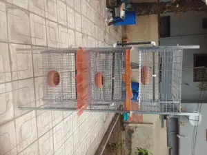3 Unit Cage With Feeders,Automated Drinkers and Waste Collec