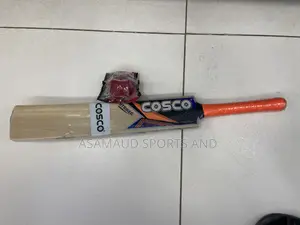 Original Cricket Bat Available at Cool Price