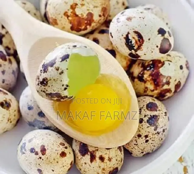 Quail Eggs