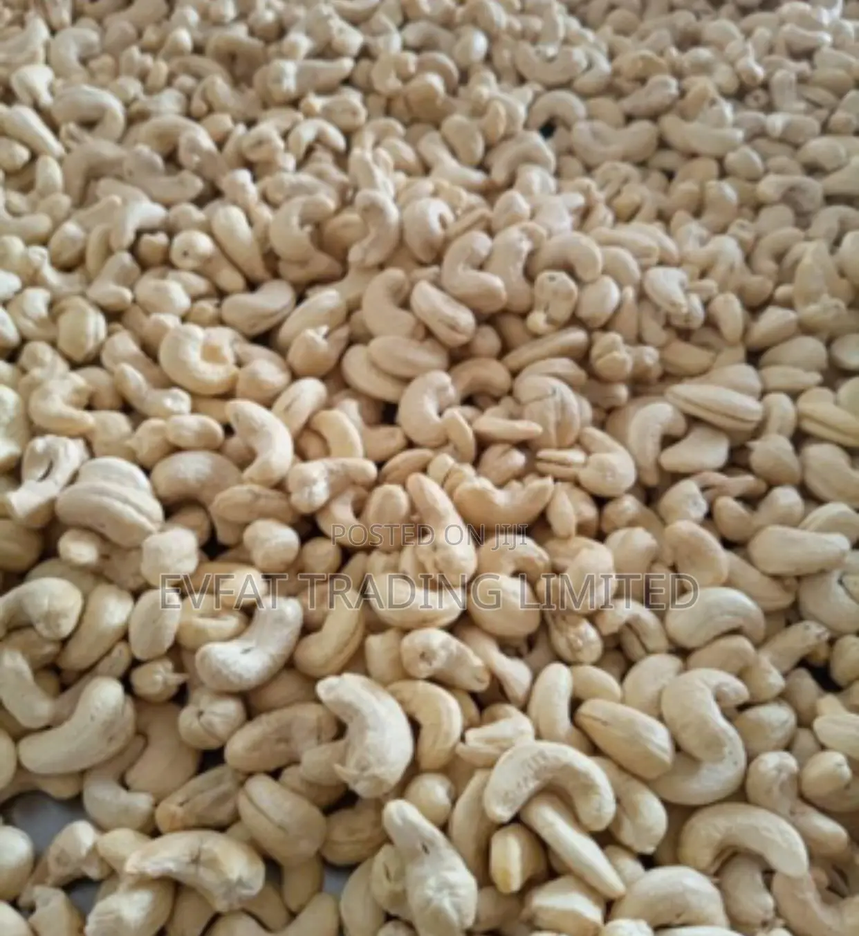 Cashew Kernels
