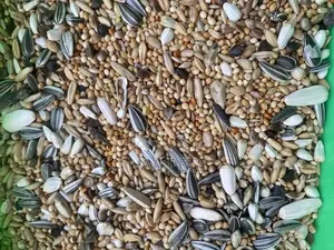 Cockatiel and Love Bird Feed