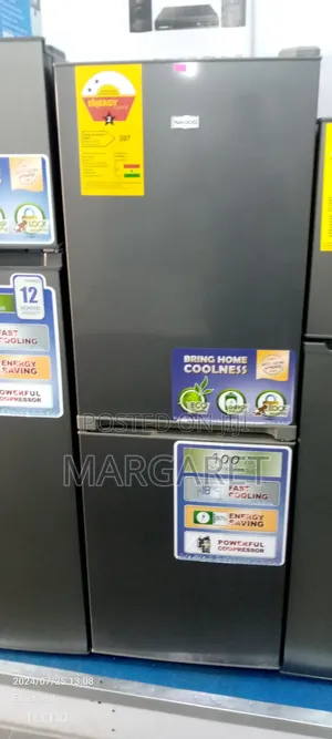 Excellence Nasco 170 Littres Double Door Fridge
