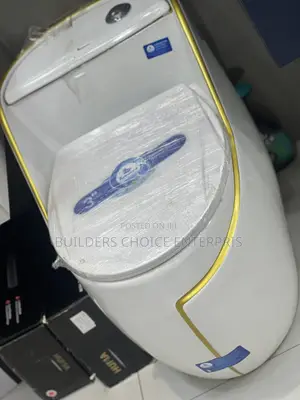 Syphonic Water Closet
