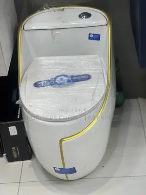 Syphonic Water Closet