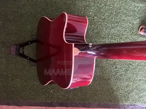 Semi Acoustic + Free Bag Etc