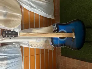 Semi Acoustic + Accessories/Bag