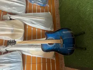 Semi Acoustic + Accessories/Bag