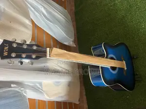 Semi Acoustic + Accessories/Bag
