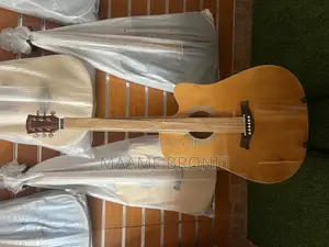 Semi Acoustic Guitar + Freebies