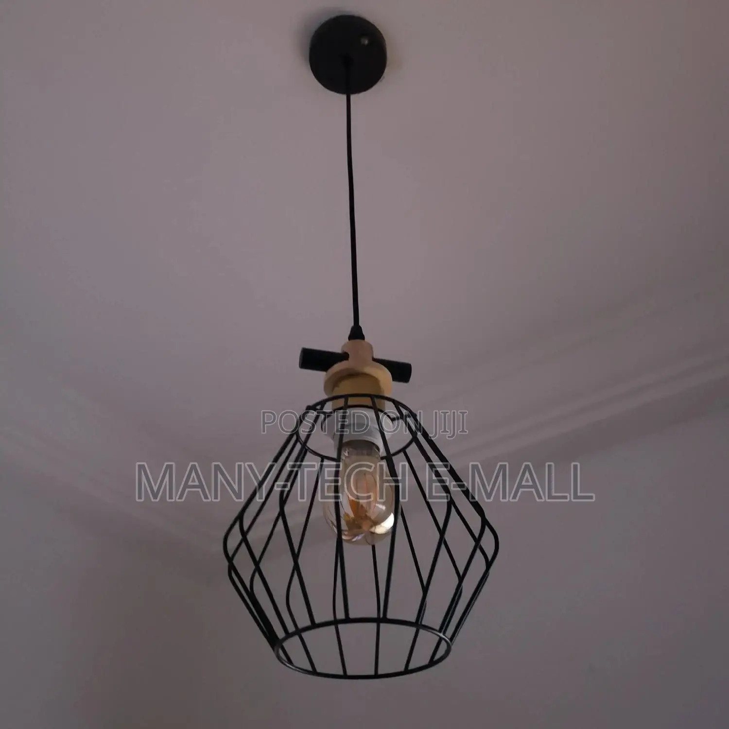 Single Pendant Light.