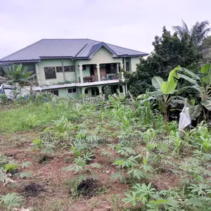 Half Plot for Sale at West Fijia