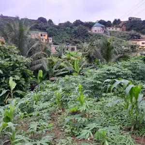 Half Plot for Sale at West Fijia