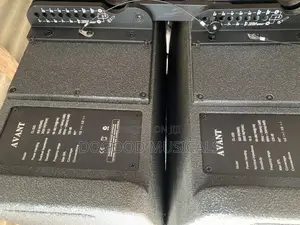 AV SOUNDS 10inch Dual Line Array Speakers(Pair)