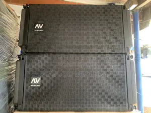 AV SOUNDS 10inch Dual Line Array Speakers(Pair)