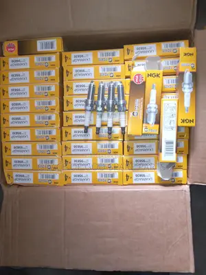 Original NGK Spark Plugs Original for You Cars