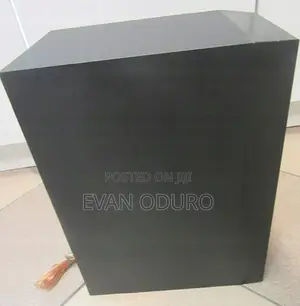 Powerful Lg Passive Woofer for Home Theater/Sound System