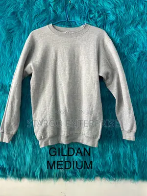 Champion Hoodies From USA