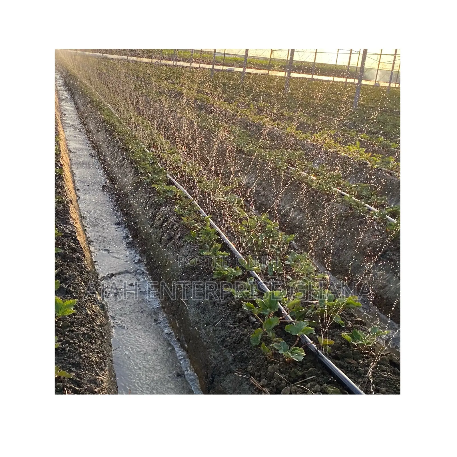 Irrigation Service Provider