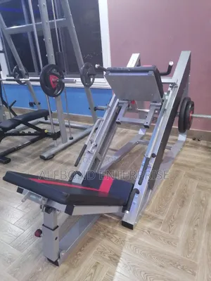 Commercial Leg Press/Hack Slide Machine (2in1)