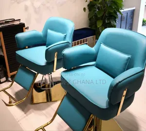 Salon Chairs