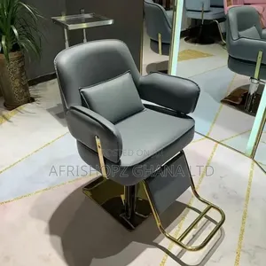 Salon Chairs