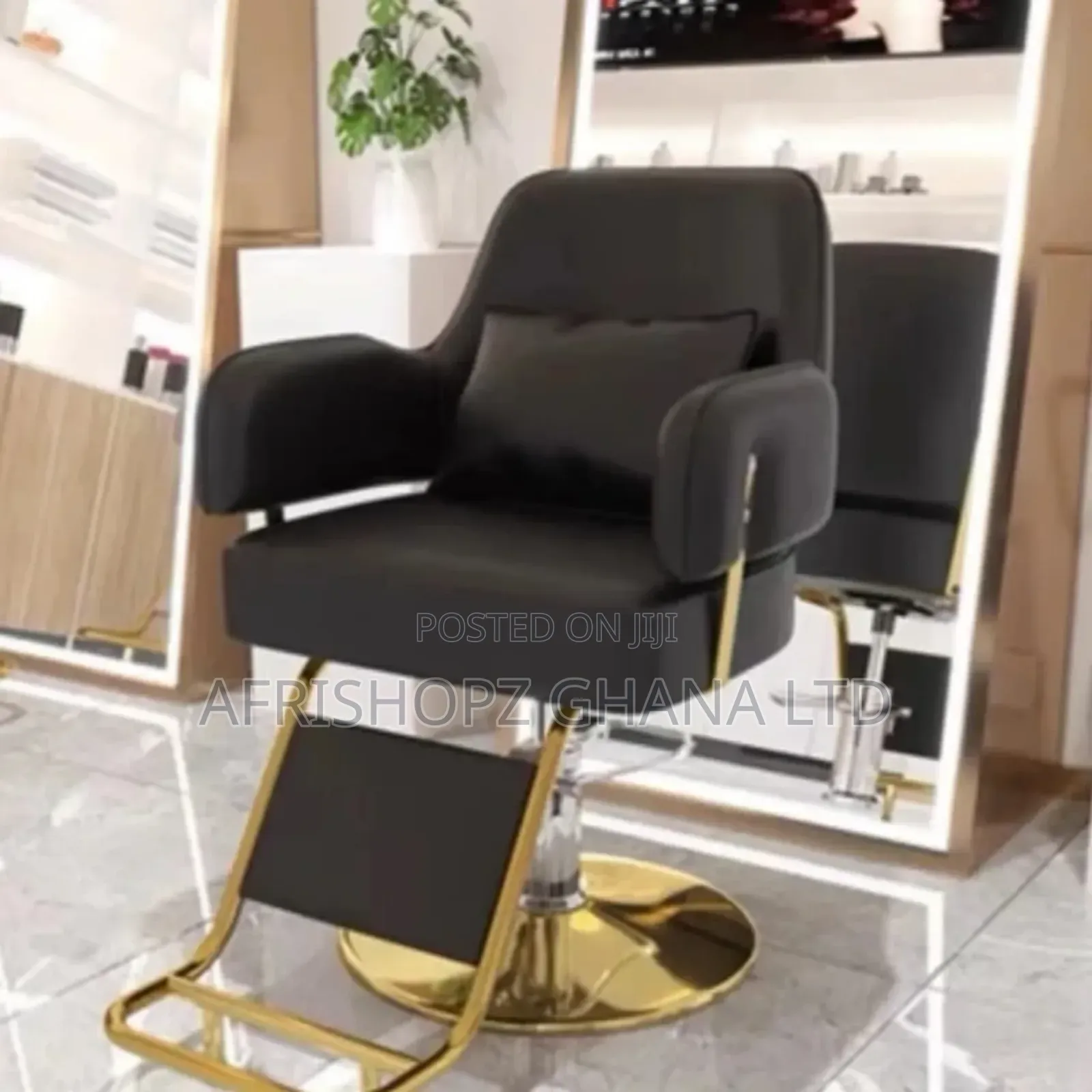 Salon Chairs