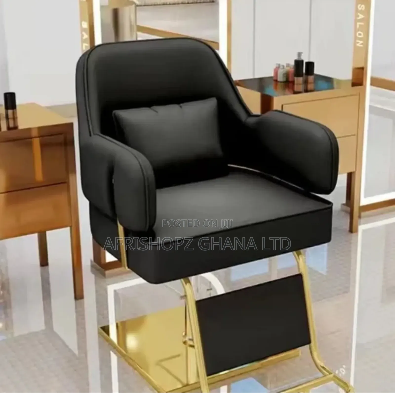 Salon Chairs