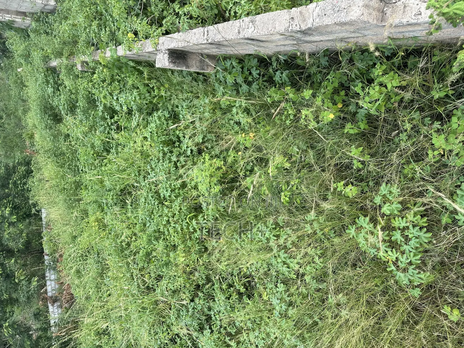 One Plot of Land at Dodowa