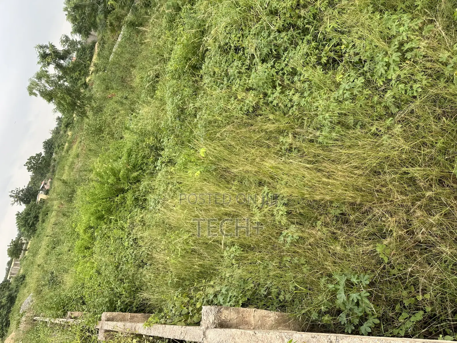 One Plot of Land at Dodowa