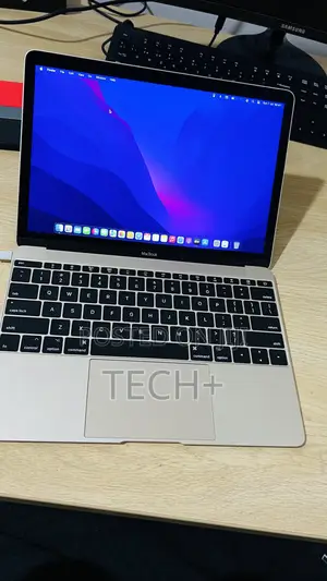 Laptop Apple MacBook 2017 8GB Intel Core I5 SSD 256GB