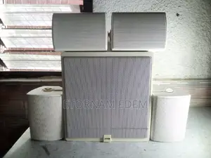 Double Magnet Philips Passive Woofer