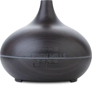 Durable High Performance Diffuser Humidifier Air Freshener