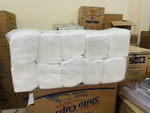 V- Fold Hand Paper Towels