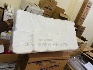 V- Fold Hand Paper Towels