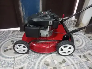 Quality Lawnmower Engine 4.5hp