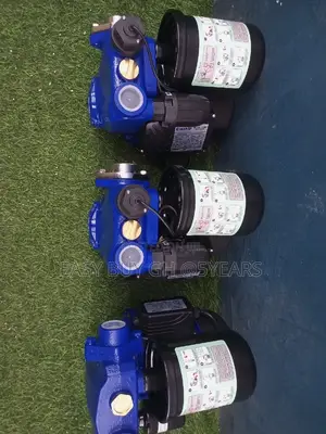 Chimp 1.5hp Original Water Pump
