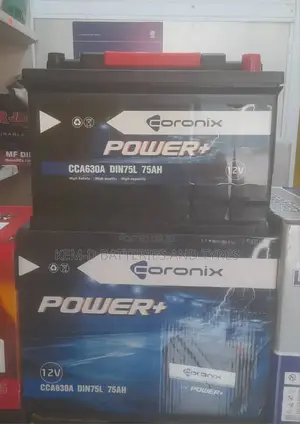 15 Plates Coronix Battery