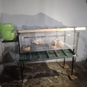 2 Unit Galvanised Cage for Rabbits and Grasscutters