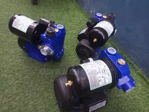 Chimp 1.5hp Original Water Pump