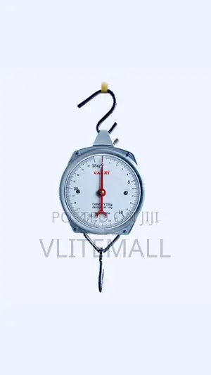 Camry Hanging Scale 100kg