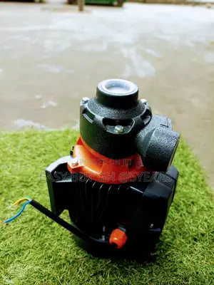 Leo Gasoline Water Pump 3inches