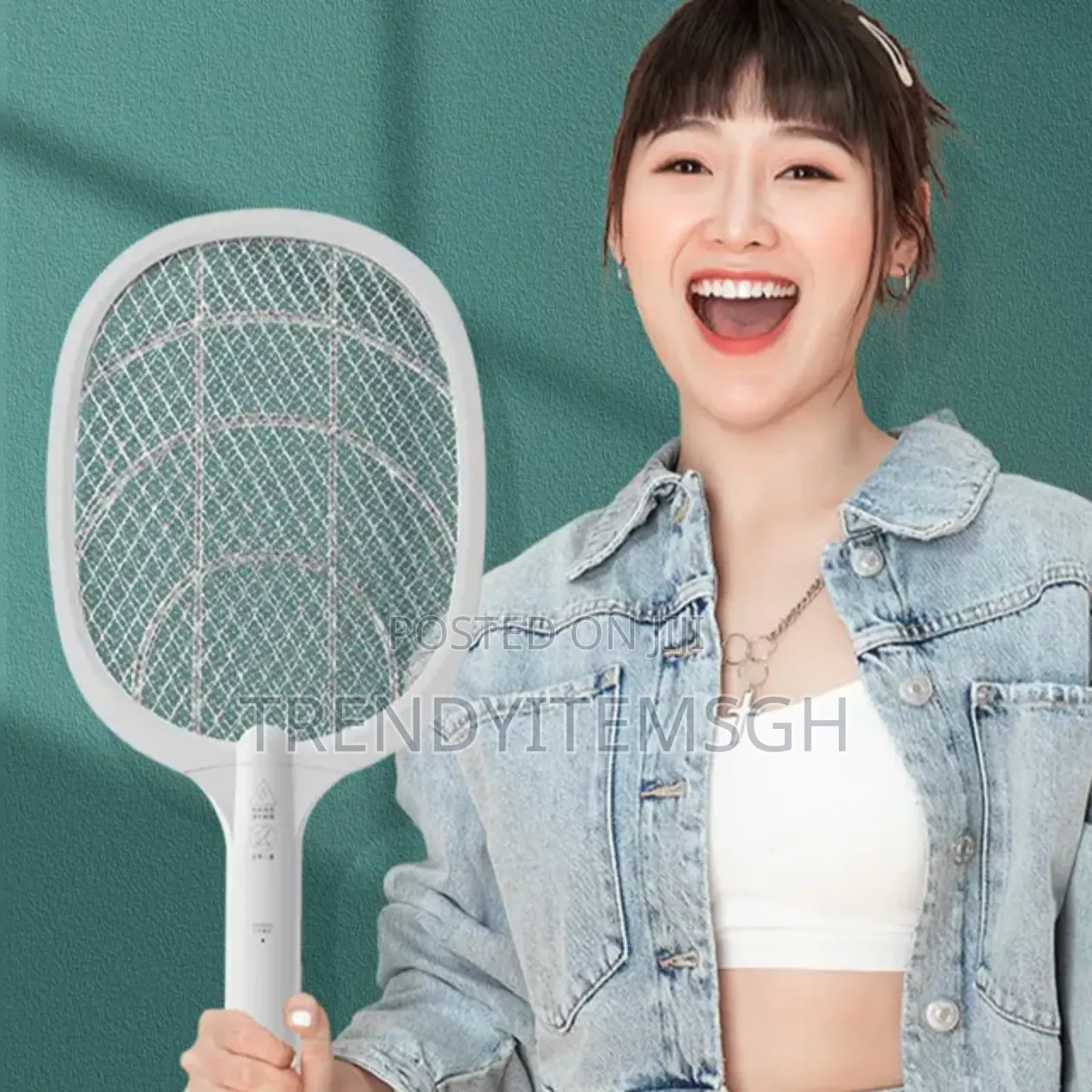 2 in 1 Electric Fly Mosquito Killer Lamp