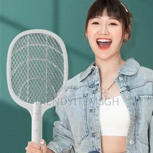 2 in 1 Electric Fly Mosquito Killer Lamp