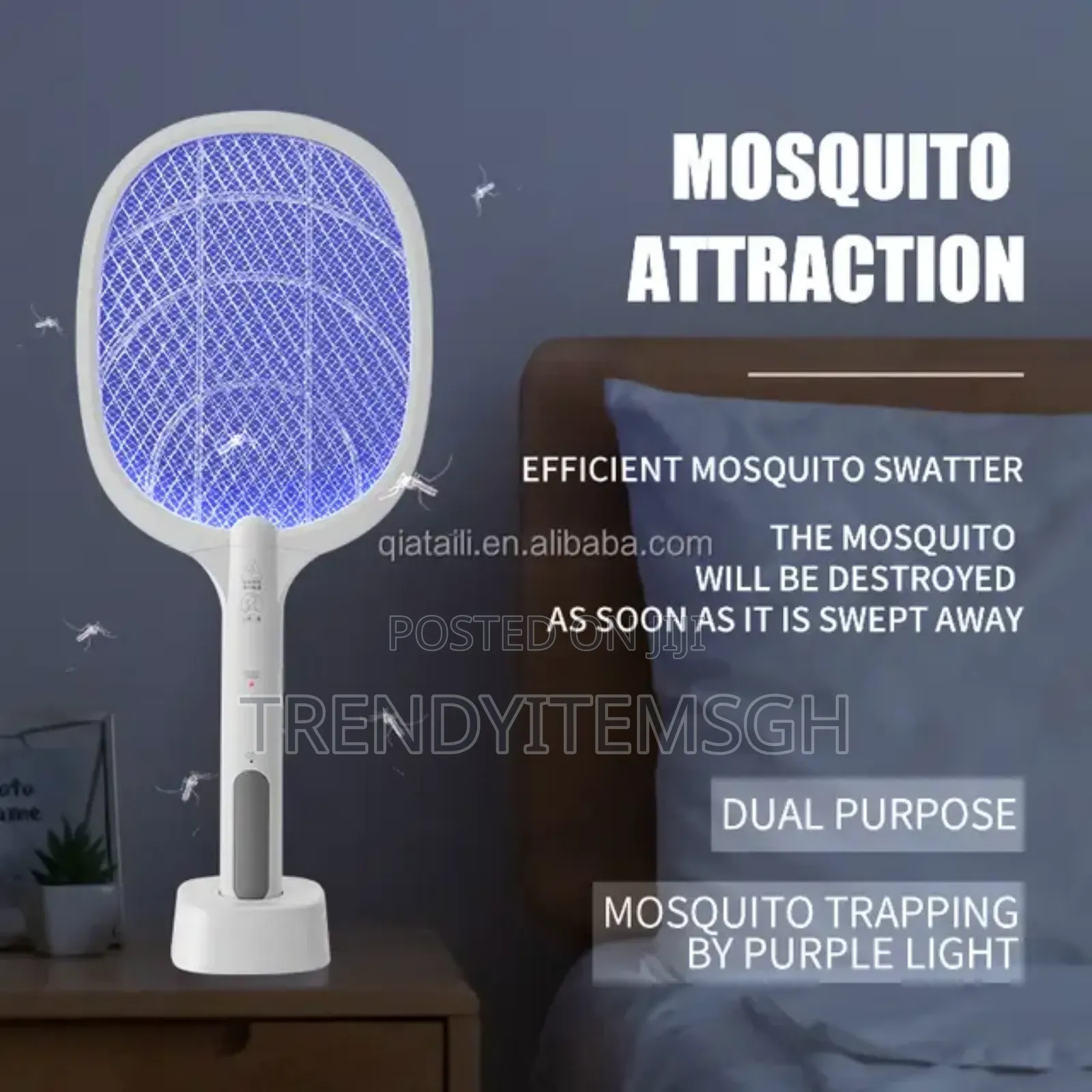 2 in 1 Electric Fly Mosquito Killer Lamp
