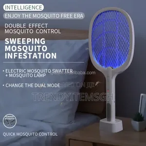 2 in 1 Electric Fly Mosquito Killer Lamp