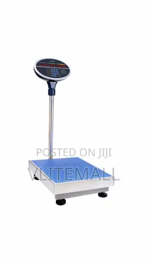 300kg Camry Digital Scale {Round Head}