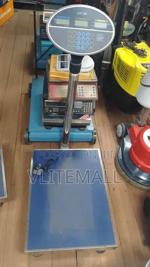 300kg Camry Digital Scale {Round Head}